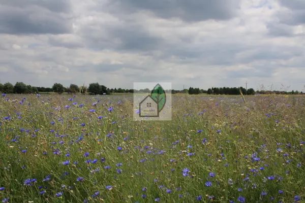 mazowieckie, grójecki, Grójec, Działka dla dewelopera, 20700 m2