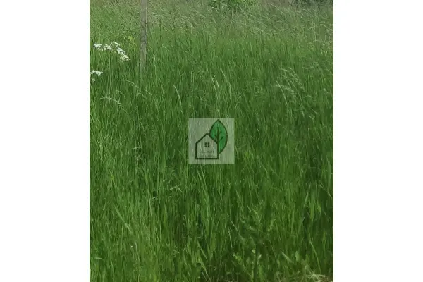 mazowieckie, piaseczyński, Piaseczno, Głosków, Działka budowlana