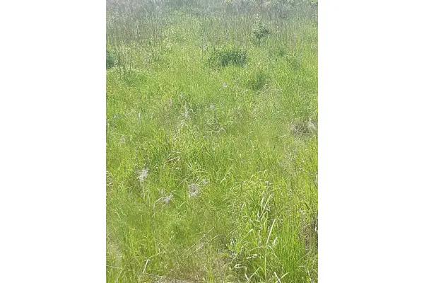 mazowieckie, piaseczyński, Piaseczno, Złotokłos, Działka budowlana w Złotokłosie