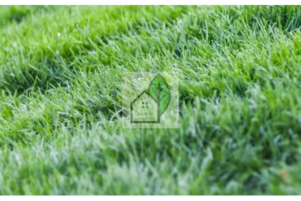 piaseczyński, Lesznowola, Łazy, Działka na sprzedaż