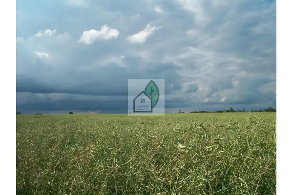 piaseczyński, Piaseczno, Głosków, 0 % prowizji Głosków działka budowlana !!!