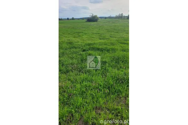 piaseczyński, Piaseczno, Głosków, z pozwoleniem na budowę cena netto Głosków !!!