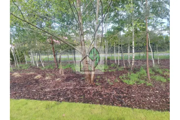 piaseczyński, Prażmów, Wągrodno, 0% prowizji 4 pokoje działka 500 m2 garaż pompa ciepła!!!