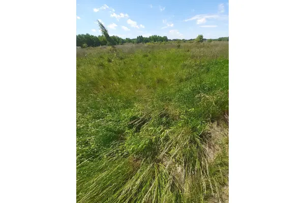 mazowieckie, piaseczyński, Piaseczno, Wola Gołkowska, działka budowlana Wola Gołkowska